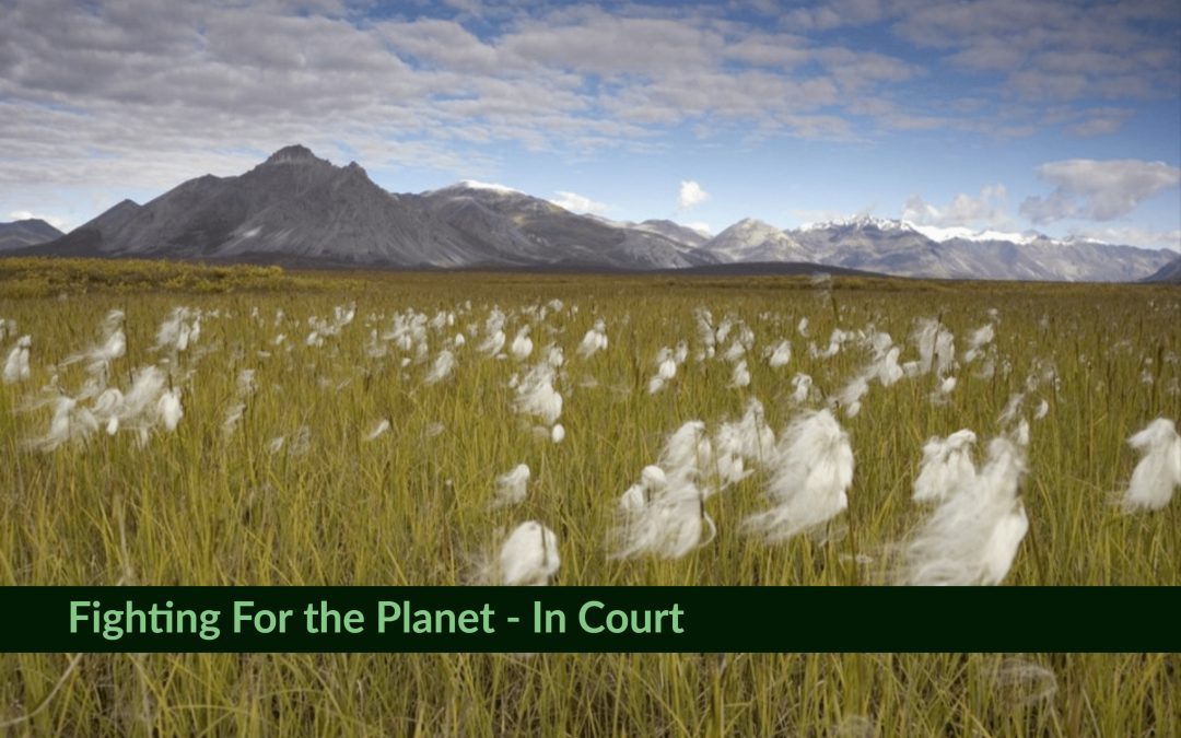 PEERMail | Fighting for the Planet in Court