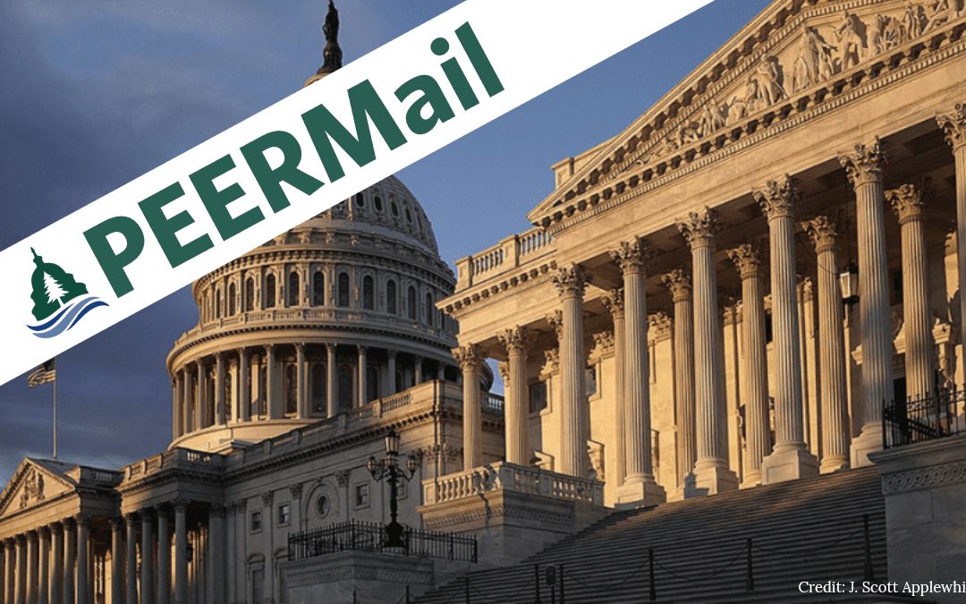 PEERMail: The Demise of Advise and Consent
