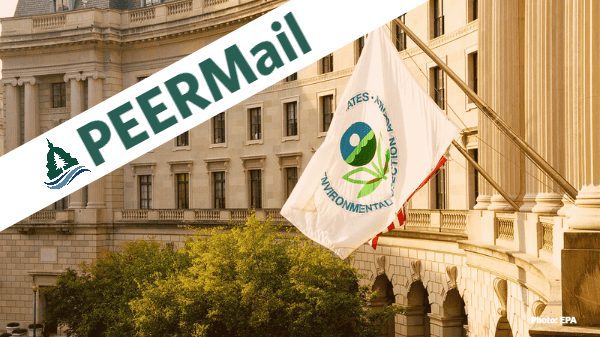 PEERMail | Fraud in EPA’s Chemical Assessments 