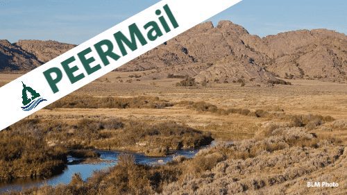 PEERMail | BLM Must Embrace Climate Solutions
