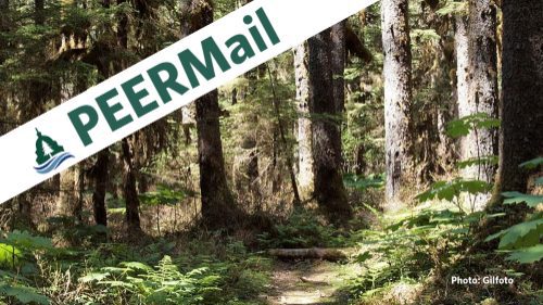 PEERMail | Troubled Timber Sales at Tongass