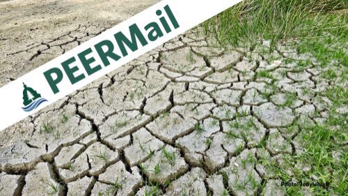 PEERMail | Climate Change and the Transition Ahead