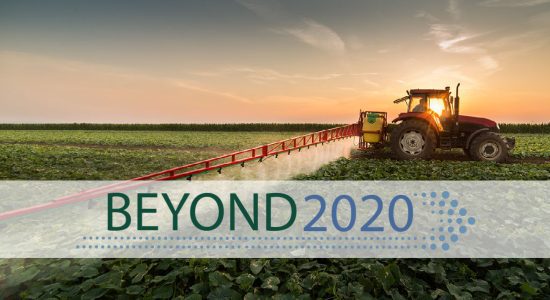 Beyond 2020: Pesticides