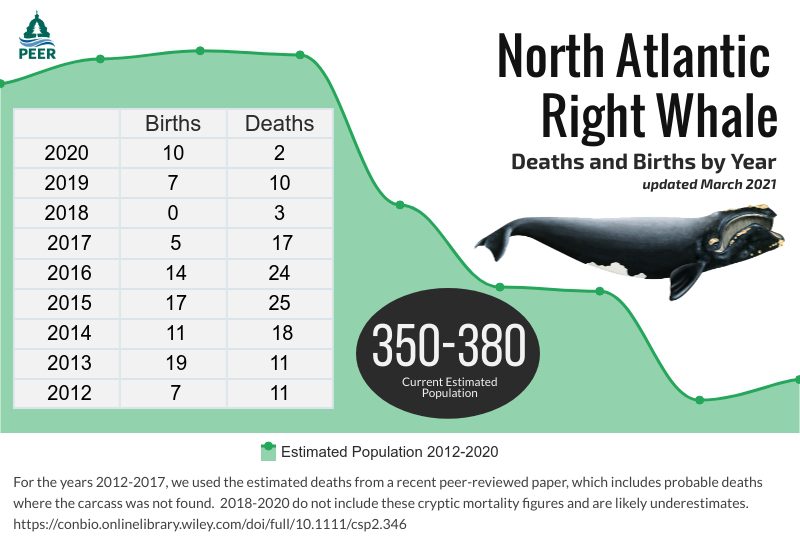 North Atlantic Right Whale Death and Births by Year