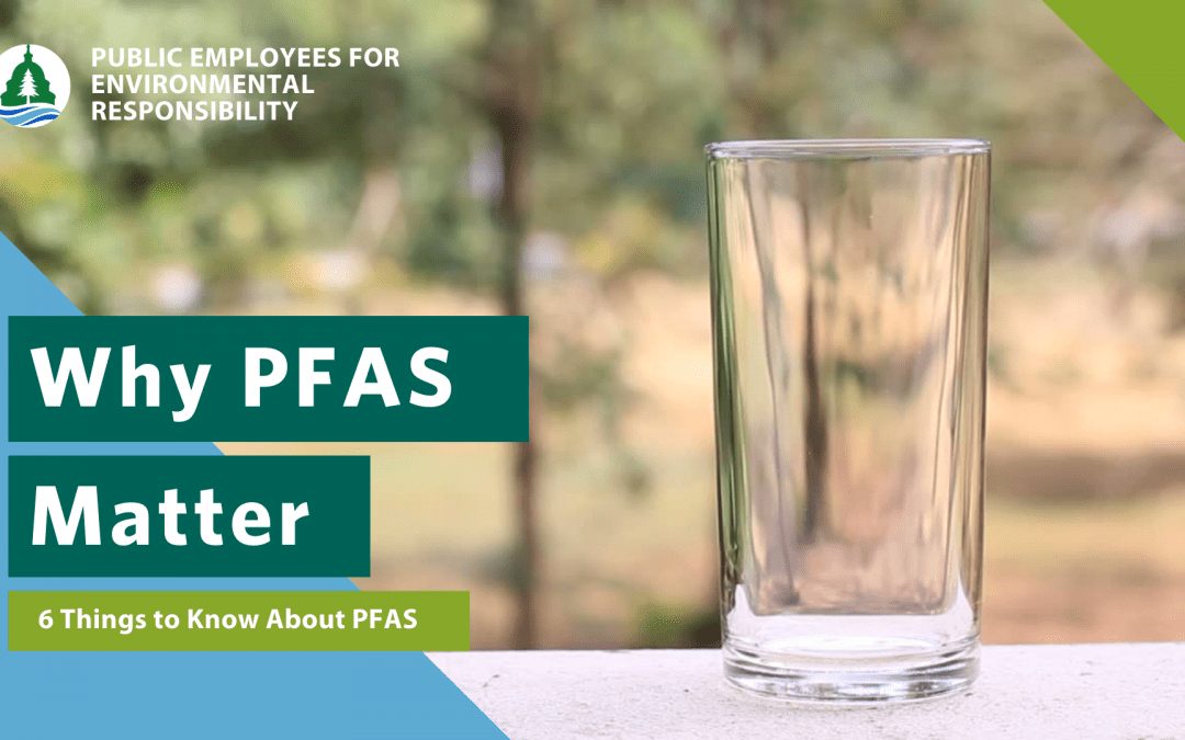 6 Things You Should Know About PFAS