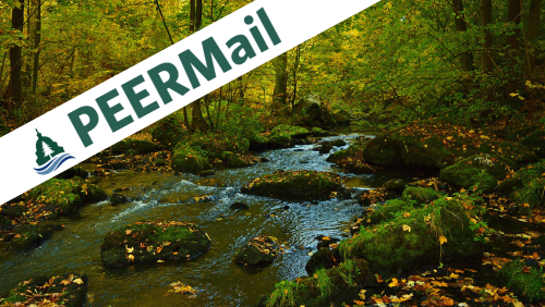 PEERMail | Conservation Road Map Falls Short