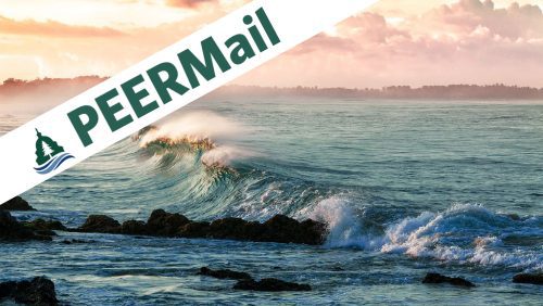 PEERMail | Time to “Go Big” on Oceans