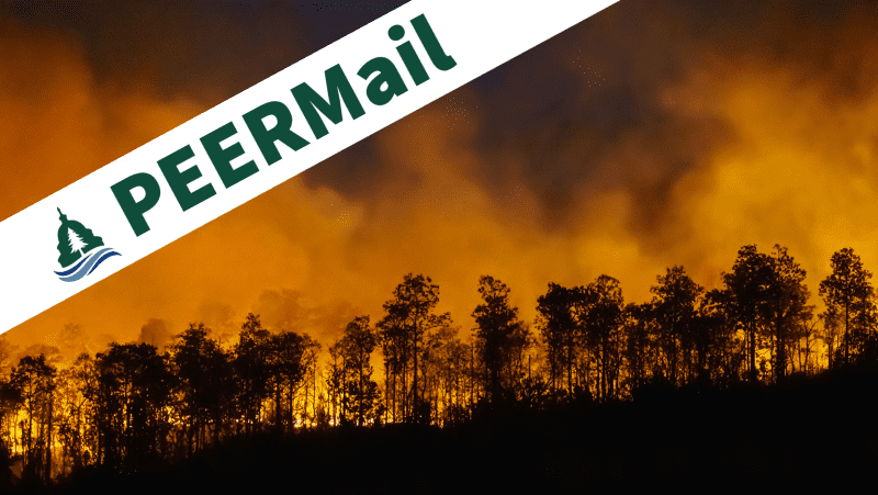 PEERMail | Getting Climate Right